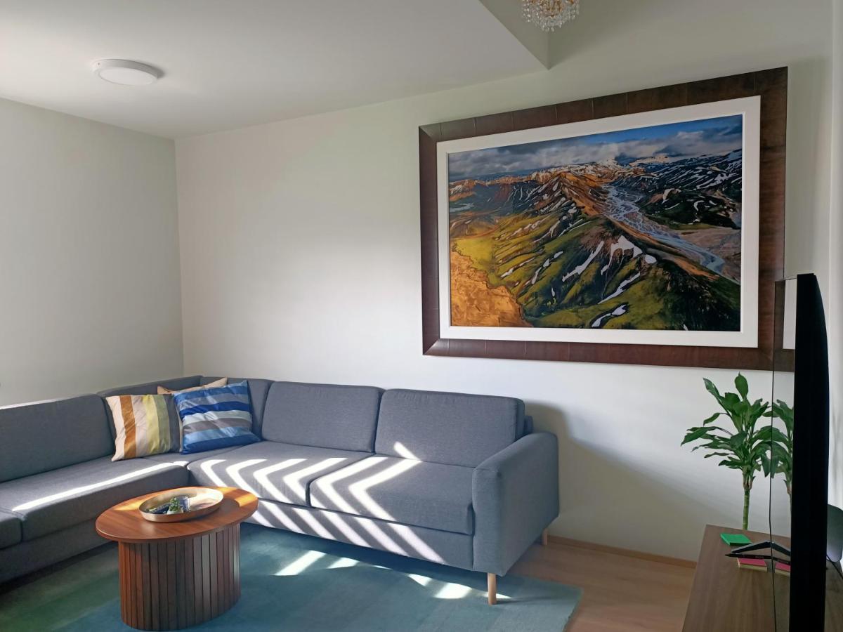 Puffin Nest, Superior Apartment Ρέυκιαβικ Εξωτερικό φωτογραφία