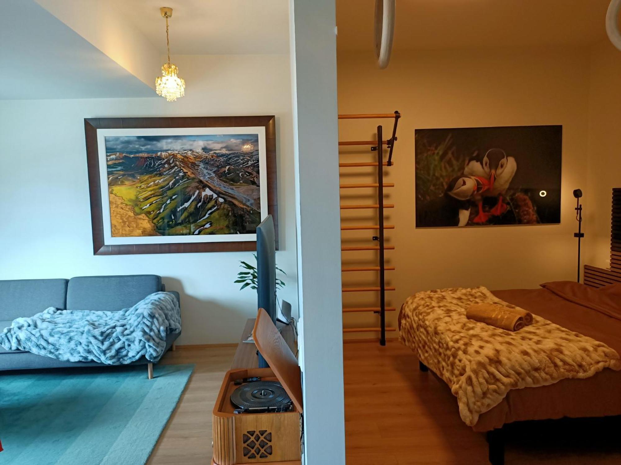 Puffin Nest, Superior Apartment Ρέυκιαβικ Εξωτερικό φωτογραφία